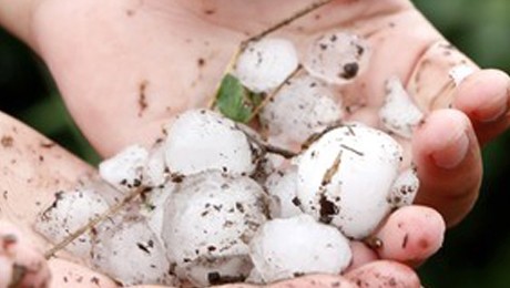 Toda ajuda será bem-vinda para os moradores das cidades de Campo Largo, no PR, e Lages, em SC, que sofreram com as fortes chuvas.