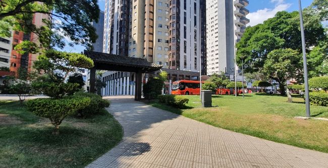 Biofilia e infraestrutura verde: corredores verdes e azuis, descanalização de rios, telhados verdes e jardins de chuvas são algumas delas. Profissionais de arquitetura devem estar preparados para implantar essas tecnologias