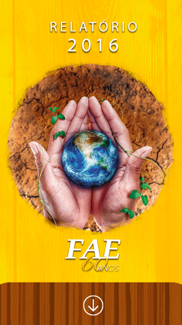 Par de mãos segurando o planeta Terra