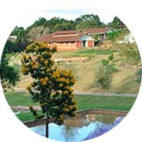 O Conselho Federal de Educação, pelo Parecer n.° 2.746/1977, estabelece que a Faculdade de Administração e Economia da Pontifícia Universidade Católica do Paraná passe a ser um estabelecimento isolado, denominado Faculdade Católica de Administração e Economia (FAE).
