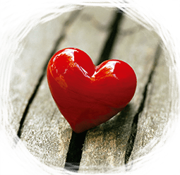 Amor