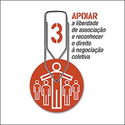Pacto Global Apoiar
